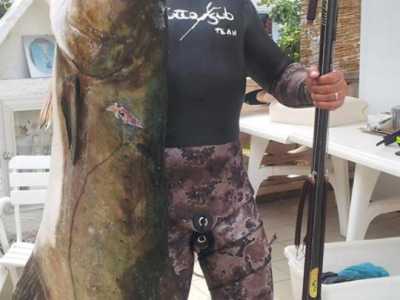 La pesca in apnea: alcune prede